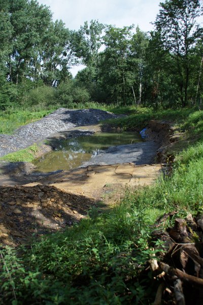 Die Oelschiefergrube Schandelah